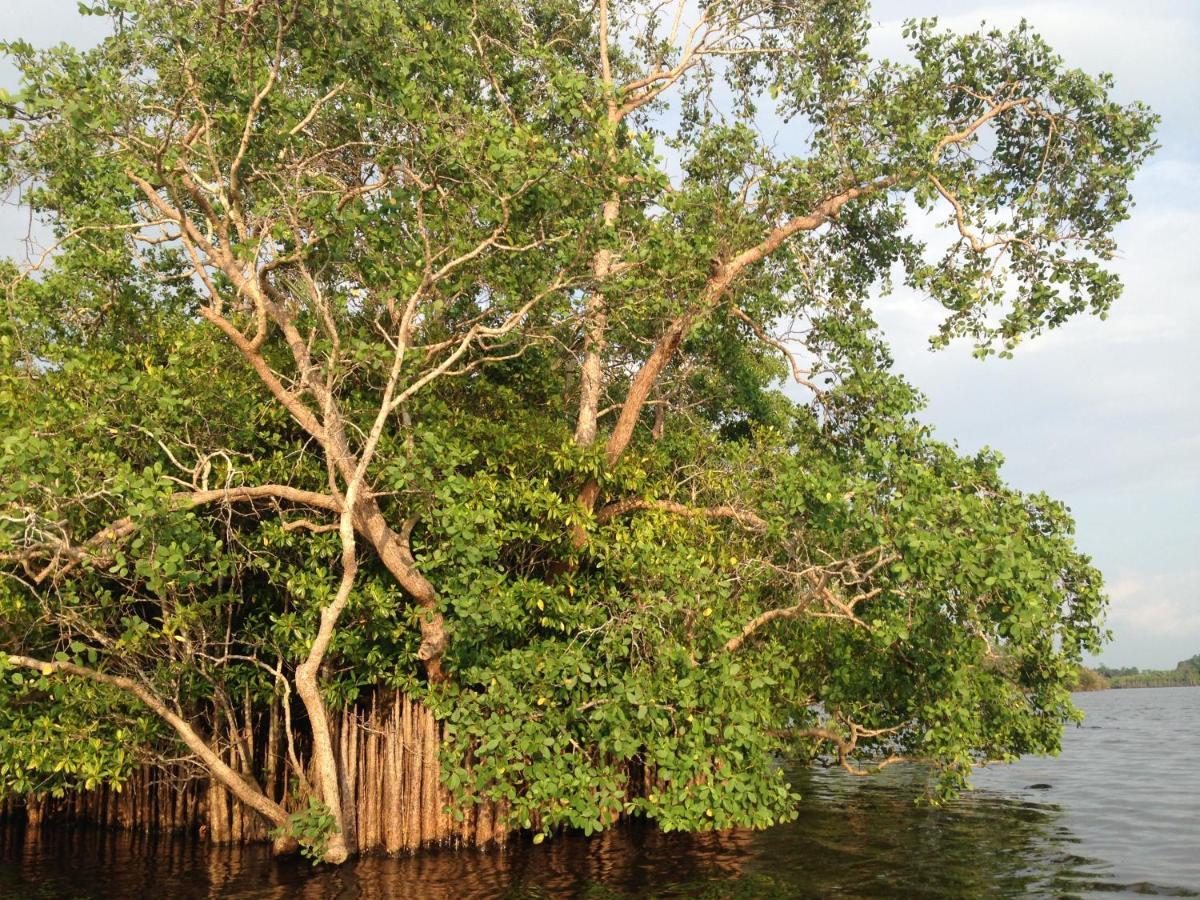 Lake Life Villa Ambalangoda  Zewnętrze zdjęcie