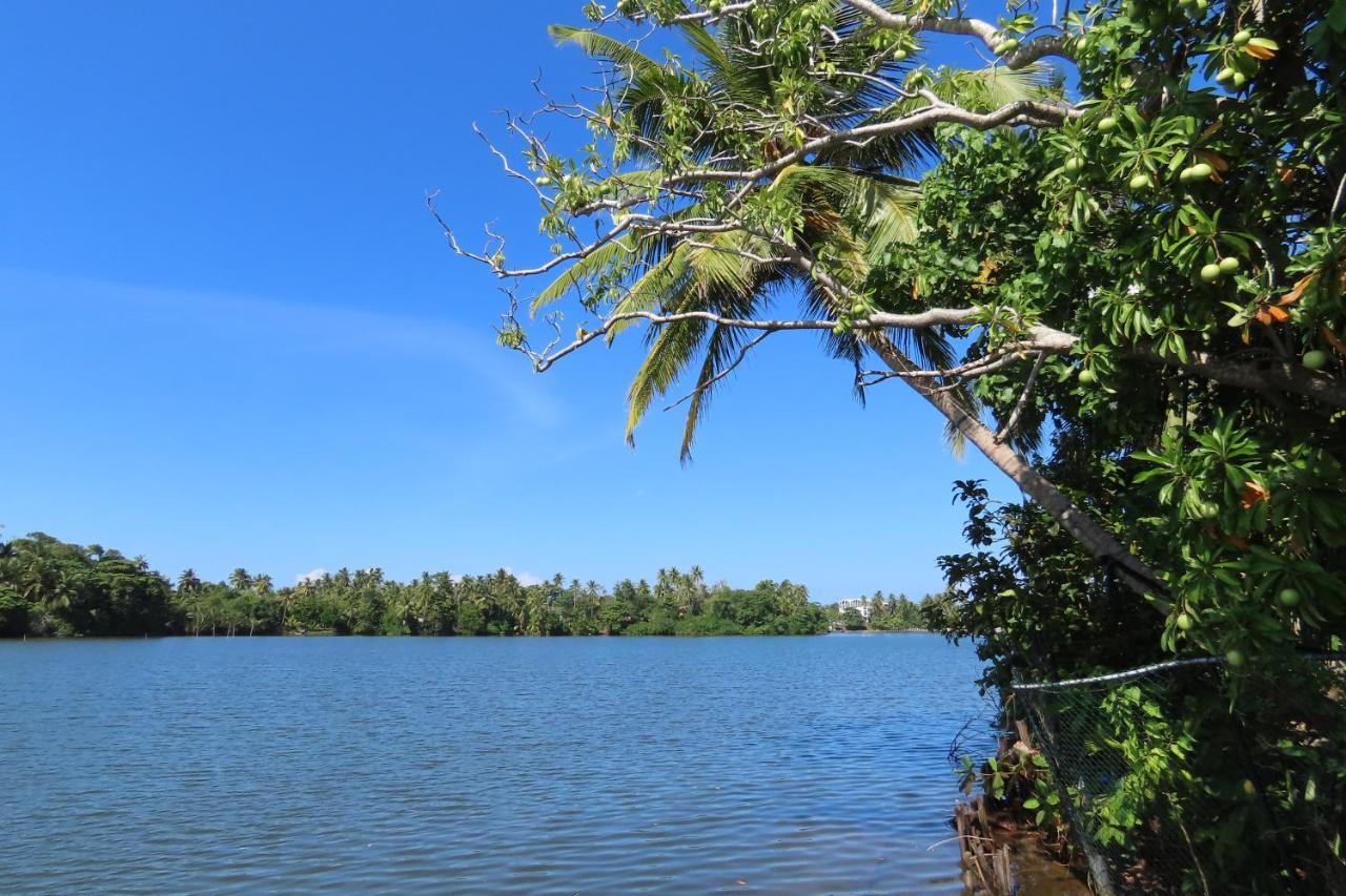Lake Life Villa Ambalangoda  Zewnętrze zdjęcie